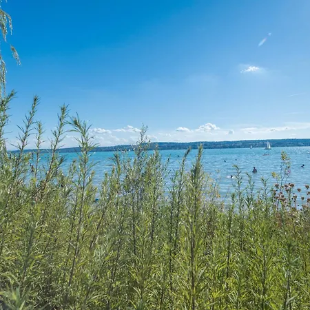 Tiny Haus 3 - Zwetschge